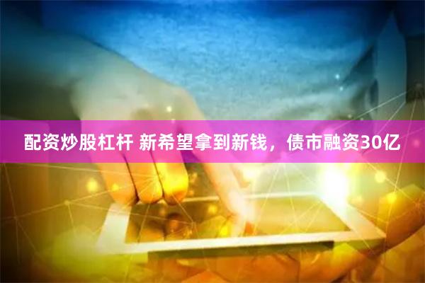 配资炒股杠杆 新希望拿到新钱，债市融资30亿