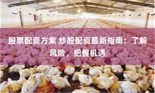 股票配资方案 炒股配资最新指南：了解风险，把握机遇