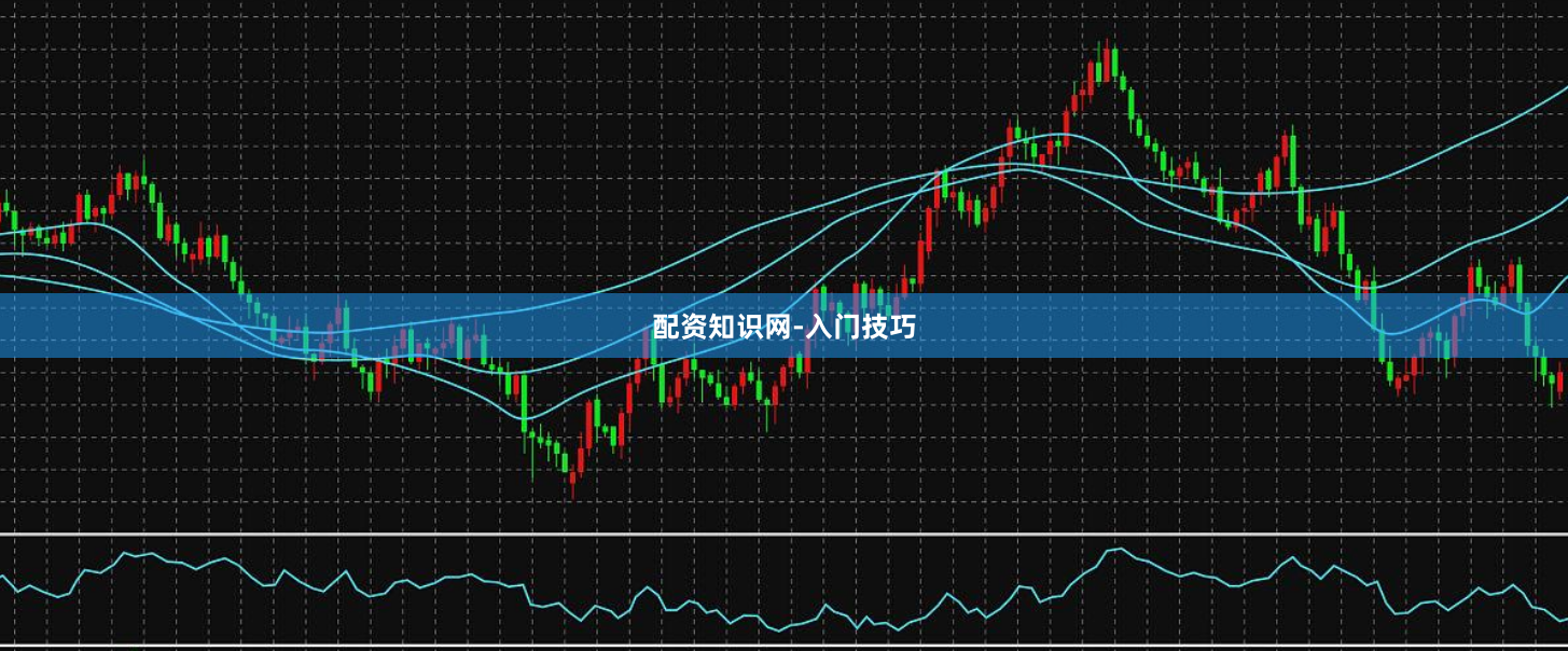 配资知识网-入门技巧