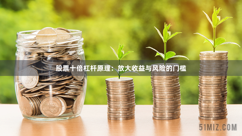 股票十倍杠杆原理：放大收益与风险的门槛
