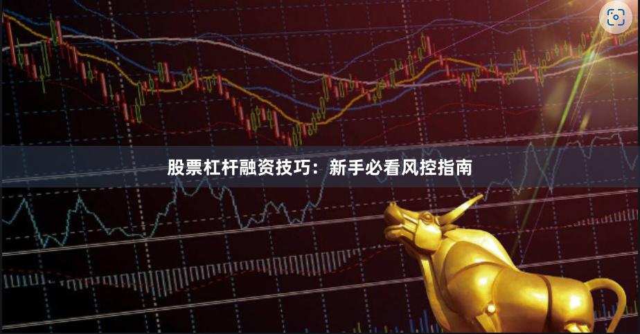 股票杠杆融资技巧：新手必看风控指南