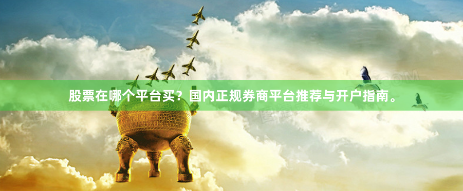 股票在哪个平台买？国内正规券商平台推荐与开户指南。